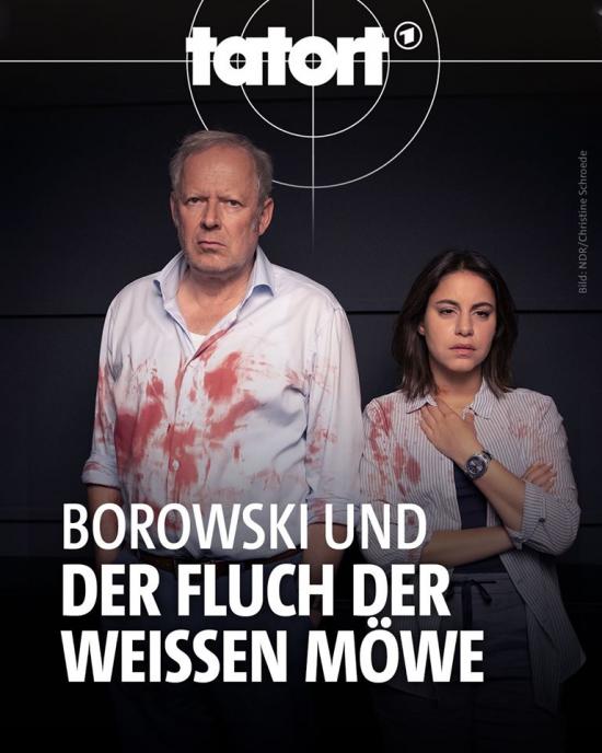 Tatort - Borowski und der Fluch der weissen Möwe